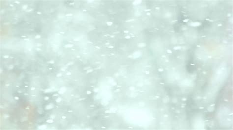 Snow Falling Close Up Slow Motion Snow Stock Footage Sbv 328929183