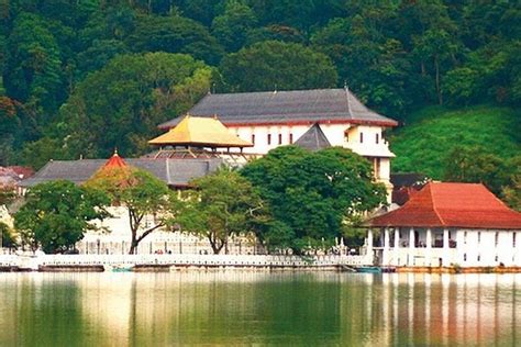 The 10 Best Things To Do In Kandy District Updated 2021 Must See