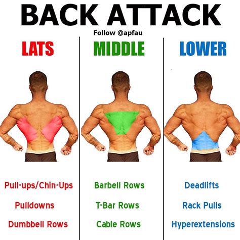 Lower Back Workout At Home With Dumbbells Intense Absworkoutcircuit