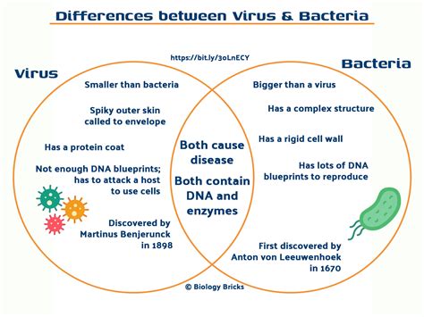 What S The Difference Between Bacteria And Viruses In Vrogue Co