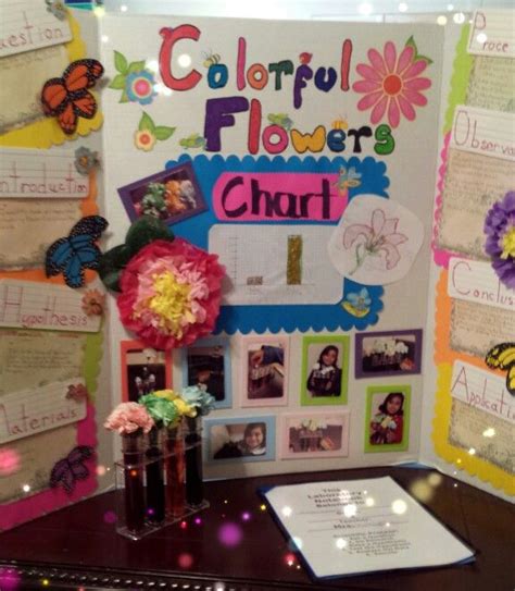 And as the attitudes of the broader society. Science Project Colorful Flowers =") | Flowers science ...