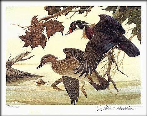 How much food stamps will i get in ohio. Ohio 1982 First of State Duck Stamp Print with Signed ...