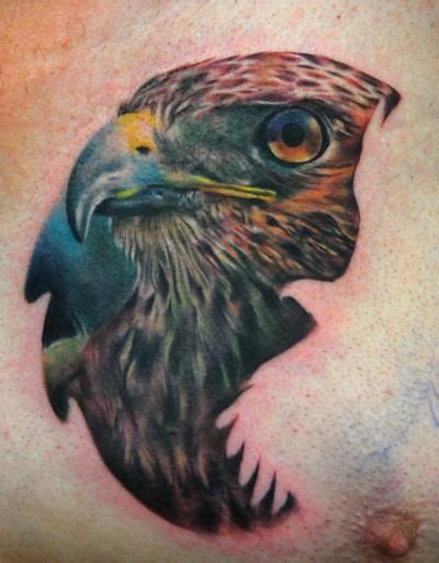 Meanings Hawk Hawk Tattoo Animal Tattoos Head Tattoos