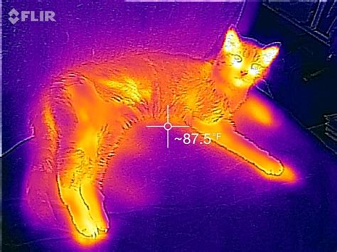 Flir One Review The Thermal Camera You Need To See Through The Darkness