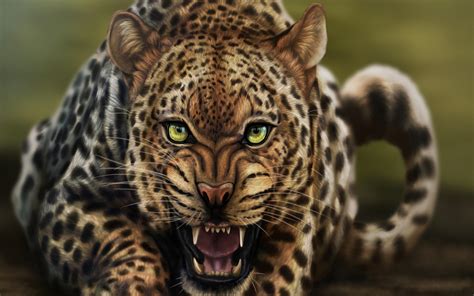 Free Download Me82 Cute Leopard Sleeping Wallpapers Cute Leopard