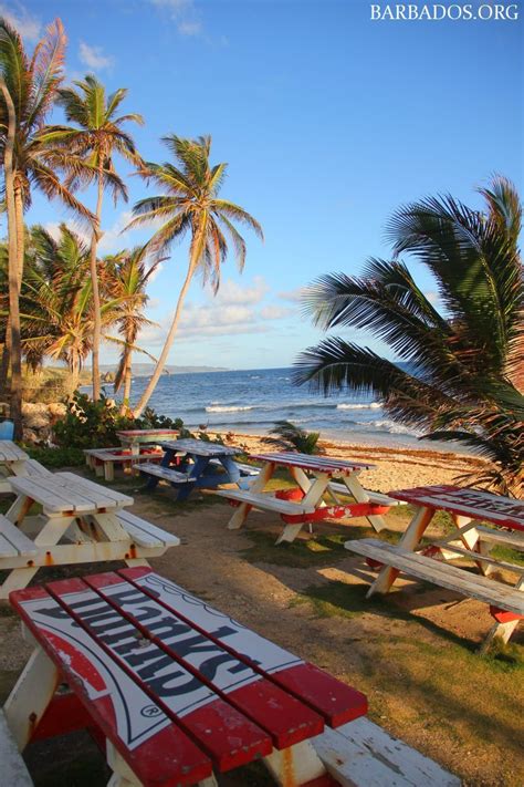 Several Picnic Tables On The Beach With Palm Trees In The Background