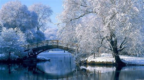 Landscape View Of Wood Bridge Above River Surrounded By Snow Covered