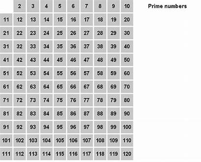 Prime Eratosthenes Number Numbers Sieve Works Way