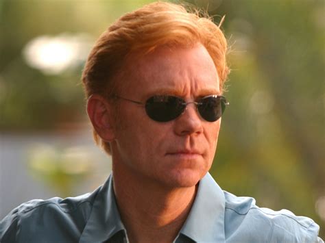 Horatio Caine Lthoratio Caine Wallpaper 39503040 Fanpop