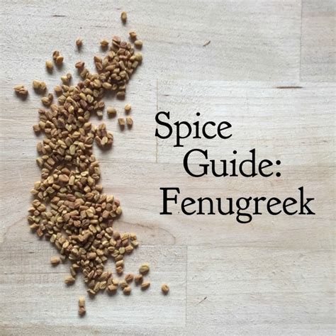 Fenugreek is also called methi. Spice Guide: Fenugreek