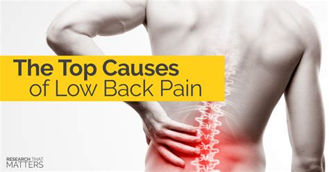 The Top Causes Of Low Back Pain Spine In Motion