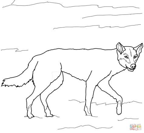 Dingo Drawing at GetDrawings | Free download