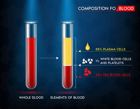 elementos de glóbulos vermelhos do sangue plasma sangue branco e