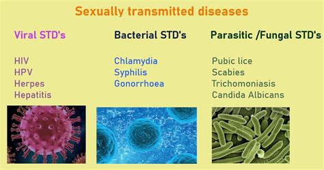 Sexually Transmitted Infections Mobieg