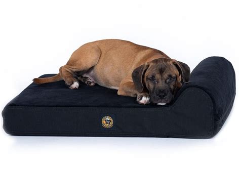 Bedroom fetching dura dog bed chew proof petco diy amazon. Chew-Proof Dog Beds | Indestructible Dog Beds for Sale