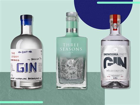 Best Gin 2021 Delicious Botanical Tipples From Top Spirit Brands The