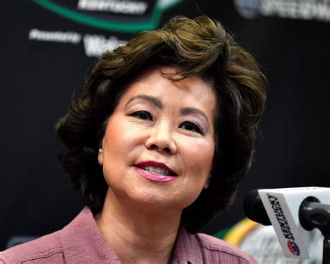 Secretary of transportation and u. House panel investigates Elaine Chao for possible ...