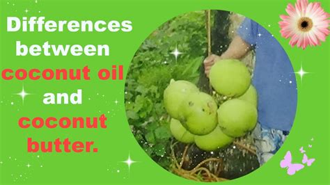 Differences Between Coconut Oil And Coconut Butter Youtube