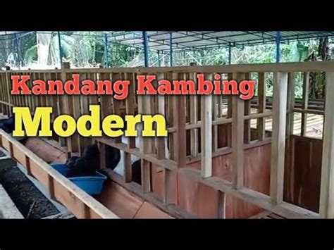 Membuat kandang kambing modern model panggung yang hemat, anda bisa memakai bahan atau material yang mudah dicari dengan harga yang murah tetapi memiliki daya kekuatan yang tahan lama. Kandang Kambing Modern, Bisa Kamu Tiru.. - YouTube