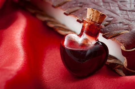 How to be a latin lover. Science may Have Just Created a Love Potion