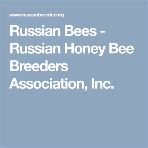 Russian Bees Russian Honey Bee Breeders Association Inc Big Bee Breeders Honey Bee Bees