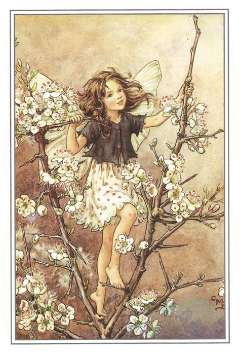The Blackthorn Fairy Cicely Mary Barker Flower Fairies Vintage Etsy