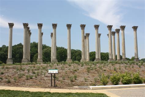 Why You Need To Visit The Us National Arboretum This Spring Travel