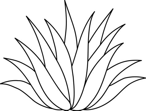 Agave Or Aloe Plant Line Art Free Clip Art