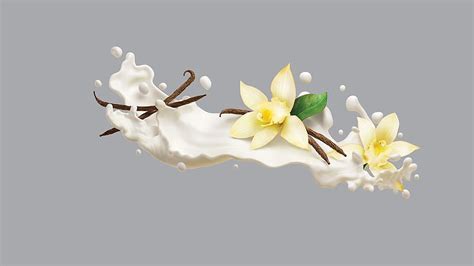 Vanilla Orchid Flower Spice Aj Jefferies Milk Hd Wallpaper Peakpx