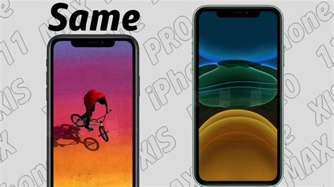 Iphone 11 Vs Iphone Xr Should You Upgrade Which One To Buy Phonearena