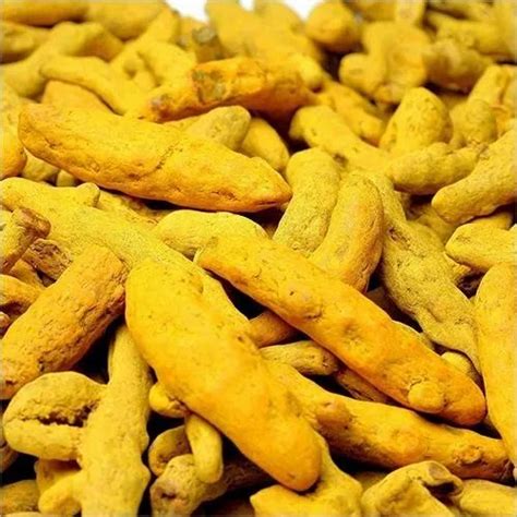 Salem Organic Raw Turmeric Finger Haldi For Food At Rs 100 Kg In