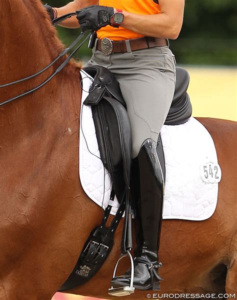 Make sure that you can see what your full racing potential is by using a polar equine heart rate monitor from the selection at heart rate monitors usa. What Can Heart Rate Variability Reveal about the Horses ...