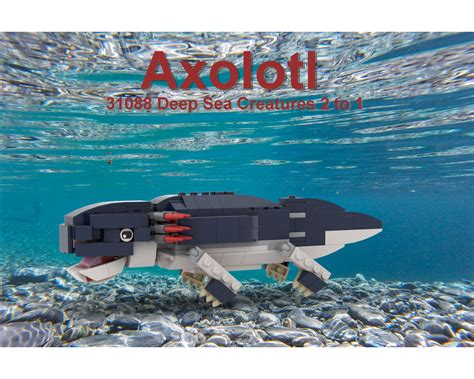 Lego Moc Axolotl 31088 2 To 1 By Janik Rebrickable Build With Lego