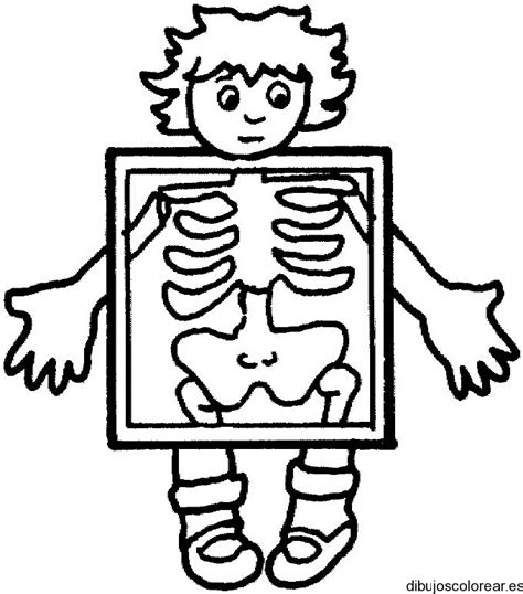 X Ray Black And White Clipart Clipart Best Clipart Best