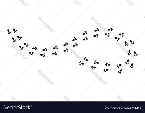 Bunny Pawprints Rabbit Paw Silhouettes Stamps Vector Image