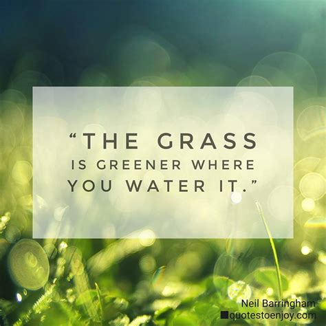 Children talk about what they think the proverb means. the-grass-is-greener-where-you-water-it | QuotesToEnjoy