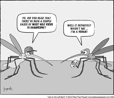 25 Best Images About Silly Mosquito Jokes On Pinterest Humor
