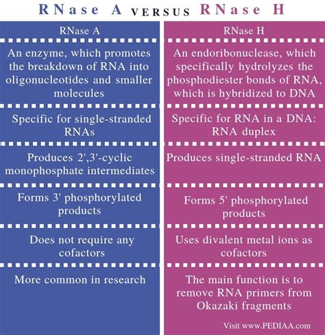 What Is The Difference Between Rnase A And Rnase H Pediaa Com