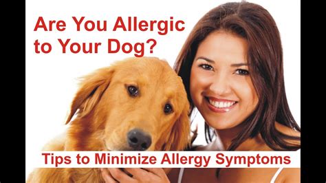 18 How Do You Know If You Re Allergic To Dogs Download Catalog