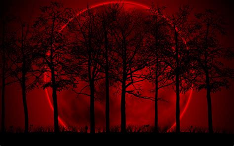 Wallpaper Trees Digital Art Sunset Night Red Sunrise Moon