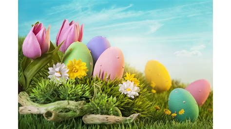 Pastel Easter Wallpapers Top Free Pastel Easter Backgrounds