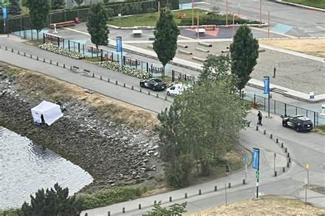 No Foul Play Vpd Says About Northeast False Creek Body Vancouver Is