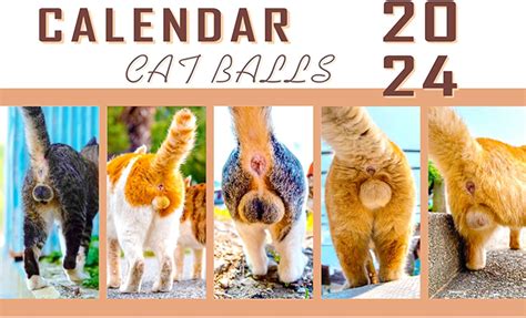 Cat Butthole Calendar Month Family Calendar With Blank Room For Notes Wall Hanging Cat