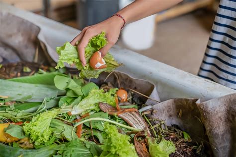 Composting Its Easier Than You Think Personalconnecting