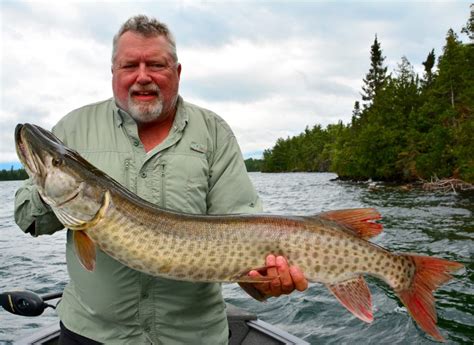Check spelling or type a new query. I finally caught my first muskie. Here are 9 lessons I ...