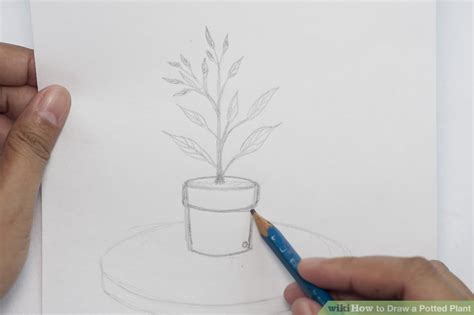 How To Draw A Potted Plant 8 Steps With Pictures Wikihow