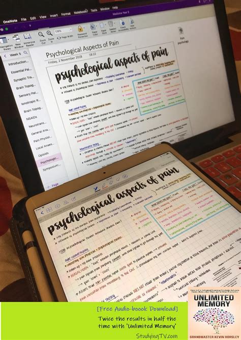 Digital Note Taking I How To Take Organized And Aesthetic Notes In