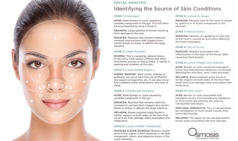 Skin Face Mapping Well Balanced Holistic Health And Beauty