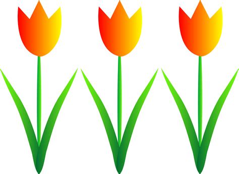Animated Spring Flower Clipart Best