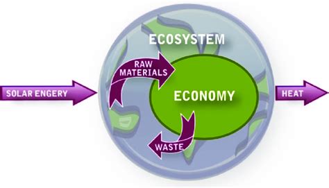 Ecological Economics Views The Economy As A Subset Of The Larger
